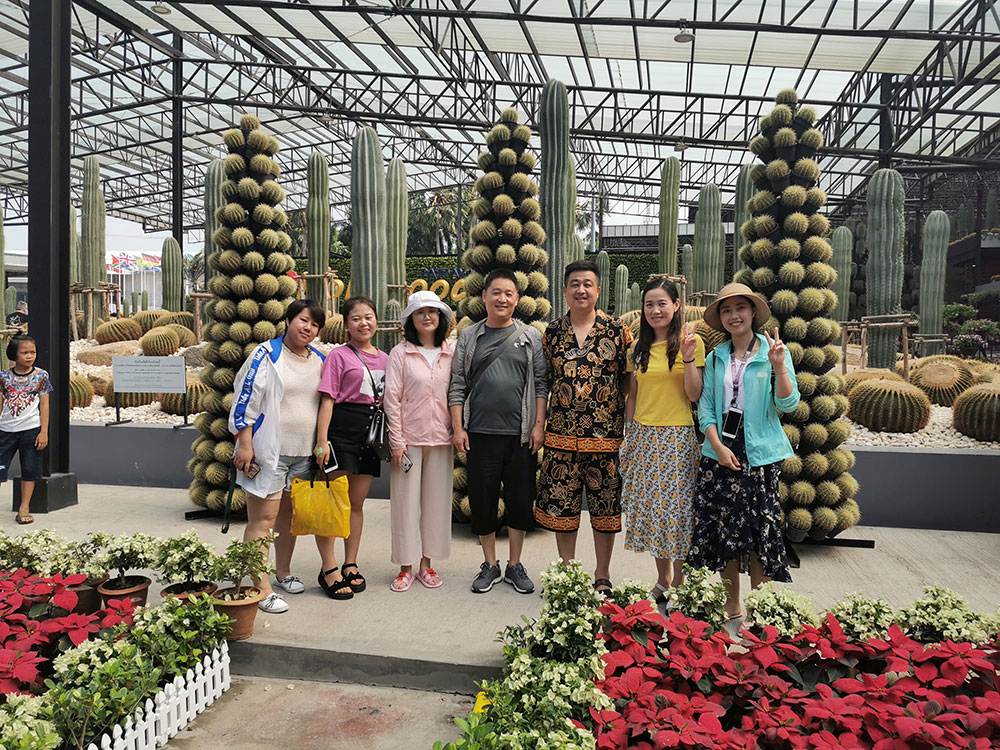 出發(fā)在鴻成，暢爽泰國游(圖3)
